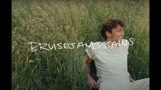 Mark Ambor - Bruises and Stains (Official Lyric Video)