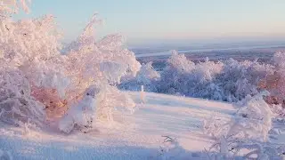 Тестирование SreamYard YouTube. Стримярд для ютуба.