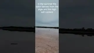 Pink Lake near Horsham Australia