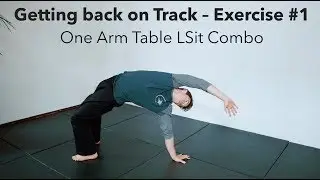Getting back on Track – Exercise #1: One Arm Table LSit Combo