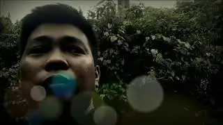 ang pang babalik sa puting lupa