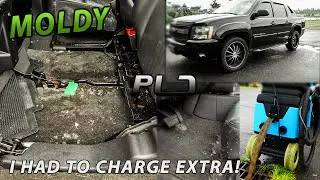 MOLDY DETAIL! HAD TO UP-CHARGE!