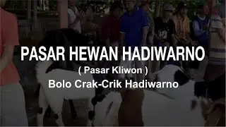 PASAR HEWAN HADIWARNO || PASAR KLIWON || PASAR KANGKUNG