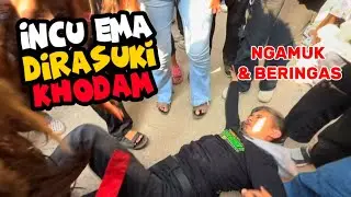 SPECIAL ULTAH REAK RAJAWALI NAYAGA MSP KAUL INCU EMA KEMASUKAN KHODAM❗️❗️LEMBUR KURING