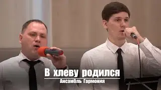 В хлеву родился, Младенец Божий | Христианское пение | г.Барнаул | МСЦ ЕХБ