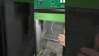 Неполная закладка яиц в инкубатор
