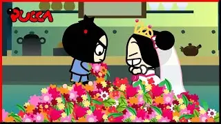 Scenes From A Maul | Pucca | 60' Compilation