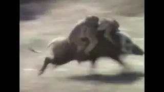 АХАХА Обезьяны сбегают на кабане Неуловимые мстители