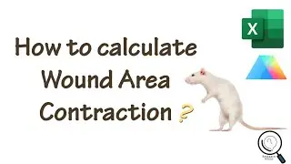 Measure Wound Healing Progress with Excel and GraphPad Prism: Calculating Wound Area Contraction