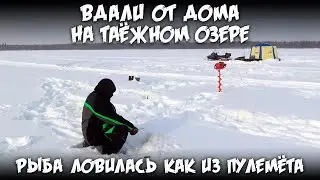 Вдали от дома на таёжном озере / Рыба ловилась как из пулемёта