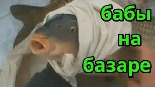 Карп зимой. Полчаса- рыбалка мечты. (2 серии)