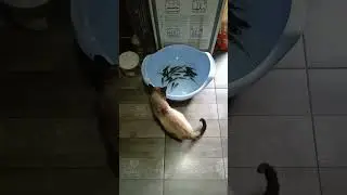 кто куда а я на рыбалку 