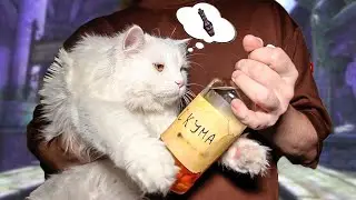 Skyrim Skooma Recipe, Khajiit Didn't Steal Anything
