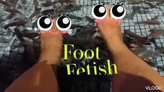 #janitorfish