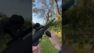 Gun Science: Silenced Ruger .22 pistol vs. Red Ryder BB Gun