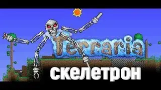 Как убить Скелетрона-прайма в Terraria