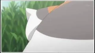 anime cat