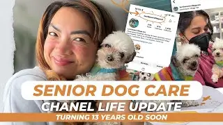 SENIOR DOG CARE - CHANEL LIFE UPDATE AS A 12 Year Old Dog in Her Golden Years