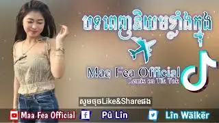 បទពេញនិយមខ្លាំងក្នុង Tik Tok New Melody Remix 2019 Song Remix 2020 by Pu Lin ft