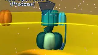 VCAC  Cellular Processes  ATP Synthase  The Movie.wmv