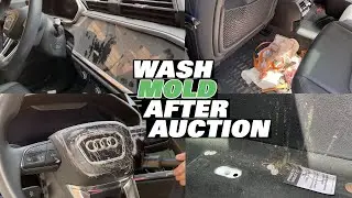 Audi Q3 F3 Wash Mold After Car Auction | Interior Deep Clean | Car Wash ASMR