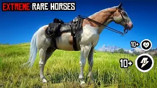 RARE HORSE LOCATIONS RDR 2