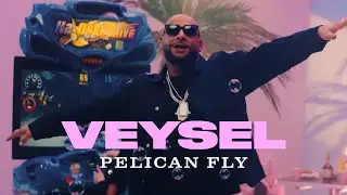 VEYSEL - PELICAN FLY (Official Video)