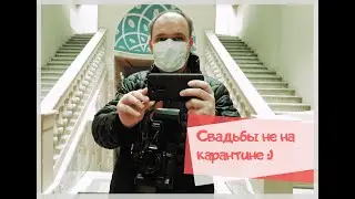 Как подать заявление в ЗАГС онлайн 2020 Украина или брак за 24 часа
