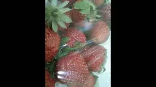 Yummy  strawberry 🍓