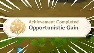 Opportunistic Gain Hidden Achievement