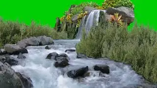 suara air dan burung di alam liar green screen