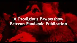 A Prodigious Pawpetshow Patreon Pandemic Publication