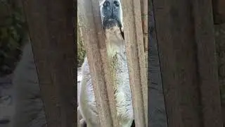 Моя красавица ♥️