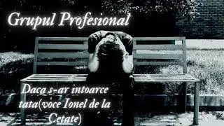 Grupul Profesional-Daca s-ar intoarce tata (voce Ionel de la Cetate)