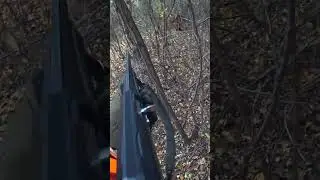 О це так промах!!! Заєць майже в рюкзак забіг!!!