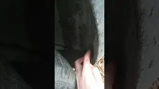 Дополнительные брызговики на задние арки Веста