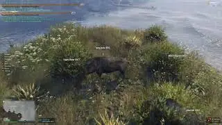 GTA 5 RP