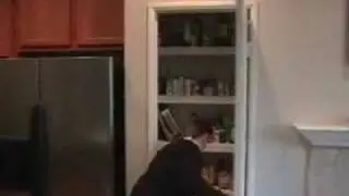 real ghost caught on film