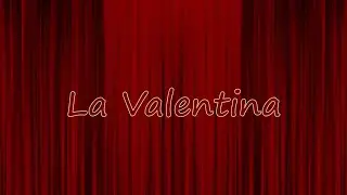 La Valentina - guitar duo (mexican traditional song)