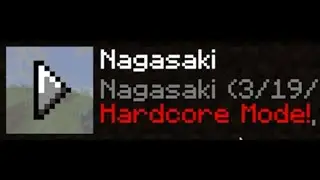 Minecraft: Return of the Professional