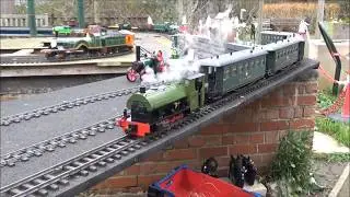 Every Green Locomotives Are Running On The Forget Me Not Garden Railway For St Patrick's Day
