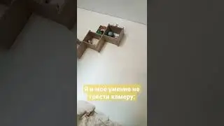 пхпхпхпхпхпх