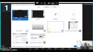 Zoom Dual Screen