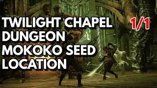 Twilight Chapel Dungeon Mokoko Seed Location | Lost Ark