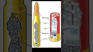 The power of real gunpowder #shorts  #psychoscientist