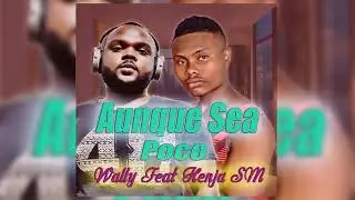 Aunque Sea Poco ( REMIX ) Wally ft Henja SM  - Salsa Urbana