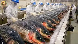 GRASS CARP Farm - Grass Carp Fish Harvesting Technology   Automatic Fish Processing Line Machine🐟