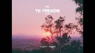 te prendo - akup (visualizer)