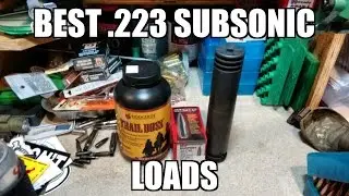 Best 223 or 556 Subsonic Load