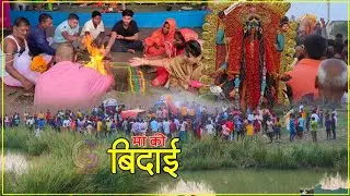 VIDEO : रंगरा  के तिनटंगा दियारा उत्तर पंचायत में नम आंखों से दी गई माँ काली को विदाई